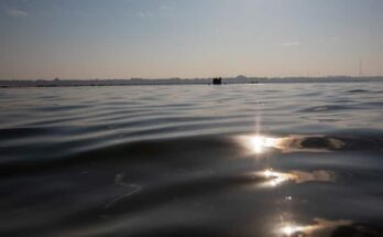 Andhra Pradesh: 4 College students Drown In Godavari River Whereas Swimming