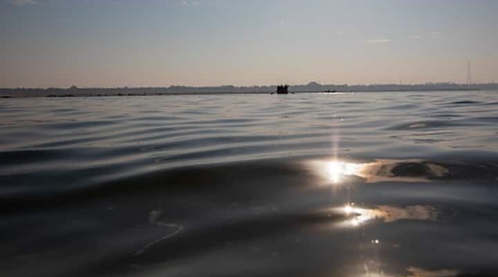 Andhra Pradesh: 4 College students Drown In Godavari River Whereas Swimming