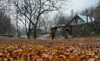 J&K Colleges Asked To Move Classes Online From Tomorrow As Winter Sets In