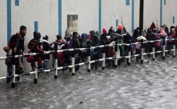 Tamil Nadu Rain: Chennai Schools To Be Closed On Nov 15 Amid Heavy Rainfall