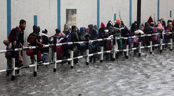 Tamil Nadu Rain: Chennai Colleges To Be Closed On Nov 15 Amid Heavy Rainfall