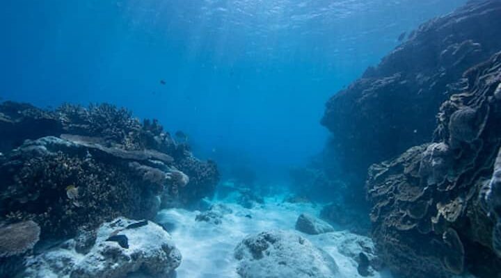 Odisha’s Berhampur College To Conduct Analysis On Marine Ecology Of Bay Of Bengal