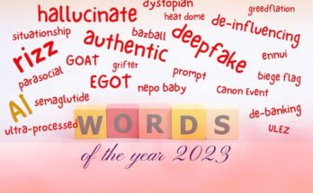 WOTY 2023: AI, Rizz, Hallucinate, Authentic And Other Words That Defined The Year