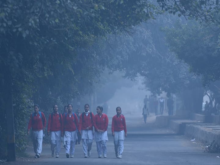 Chilly Wave: MCD, Punjab Colleges Until Class 10 To Stay Closed From January eight To 14