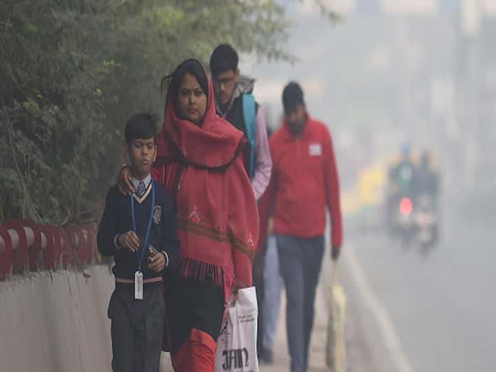 Chilly Wave: Faculties To Stay Closed For Courses 1 To eight in Ghaziabad On January 18