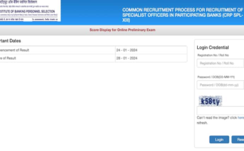 IBPS SO Prelims Scorecard 2024 Released On ibps.in - Direct Download Here